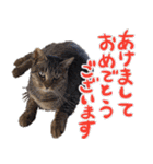 北海道弁☆チワックス（個別スタンプ：24）