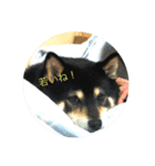 内弁慶ナナ様（個別スタンプ：1）