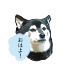 内弁慶ナナ様（個別スタンプ：2）