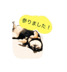 内弁慶ナナ様（個別スタンプ：8）
