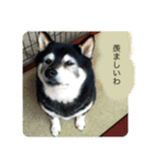 内弁慶ナナ様（個別スタンプ：12）