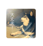 内弁慶ナナ様（個別スタンプ：13）