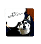 内弁慶ナナ様（個別スタンプ：14）
