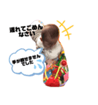 JB 4（個別スタンプ：1）