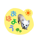 I love tommy 2（個別スタンプ：1）