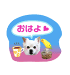 I love tommy 2（個別スタンプ：2）