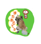 I love tommy 2（個別スタンプ：6）