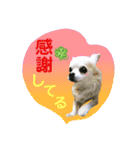 I love tommy 2（個別スタンプ：7）