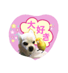 I love tommy 2（個別スタンプ：9）