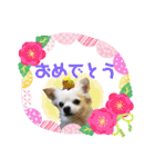 I love tommy 2（個別スタンプ：12）