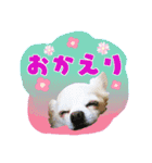 I love tommy 2（個別スタンプ：15）