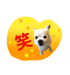 I love tommy 2（個別スタンプ：16）