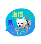 I love tommy 2（個別スタンプ：18）