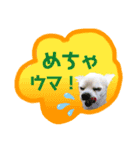 I love tommy 2（個別スタンプ：19）