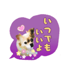 I love tommy 2（個別スタンプ：22）