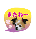 I love tommy 2（個別スタンプ：24）