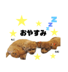 もこらむスタンプ（個別スタンプ：8）