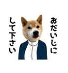 柴犬の冬と年末年始2（個別スタンプ：16）