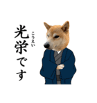 柴犬の冬と年末年始2（個別スタンプ：32）