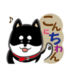 黒柴まゆげ君（個別スタンプ：1）