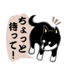 黒柴まゆげ君（個別スタンプ：19）