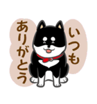 黒柴まゆげ君（個別スタンプ：20）