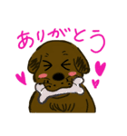 うちのラブラドール☆（個別スタンプ：6）