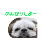JBくんな毎日②（個別スタンプ：1）