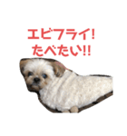 JBくんな毎日②（個別スタンプ：5）