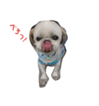 JBくんな毎日②（個別スタンプ：6）