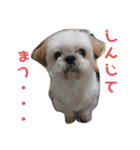JBくんな毎日②（個別スタンプ：10）