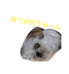 JBくんな毎日②（個別スタンプ：14）