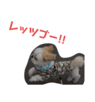 JBくんな毎日②（個別スタンプ：16）