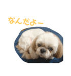 JBくんな毎日②（個別スタンプ：17）