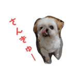 JBくんな毎日②（個別スタンプ：21）