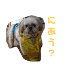 JBくんな毎日②（個別スタンプ：22）