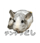おねずのしめきくとおともだち（個別スタンプ：4）