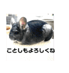 おねずのしめきくとおともだち（個別スタンプ：5）
