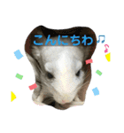 おねずのしめきくとおともだち（個別スタンプ：6）
