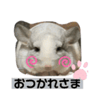 おねずのしめきくとおともだち（個別スタンプ：7）
