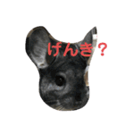 おねずのしめきくとおともだち（個別スタンプ：8）