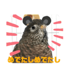 おねずのしめきくとおともだち（個別スタンプ：9）