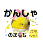 おねずのしめきくとおともだち（個別スタンプ：10）
