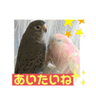 おねずのしめきくとおともだち（個別スタンプ：11）