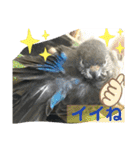 おねずのしめきくとおともだち（個別スタンプ：12）
