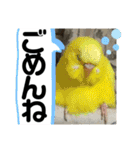 おねずのしめきくとおともだち（個別スタンプ：13）