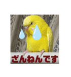 おねずのしめきくとおともだち（個別スタンプ：14）