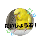 おねずのしめきくとおともだち（個別スタンプ：15）