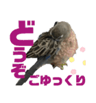 おねずのしめきくとおともだち（個別スタンプ：19）