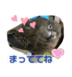 おねずのしめきくとおともだち（個別スタンプ：20）